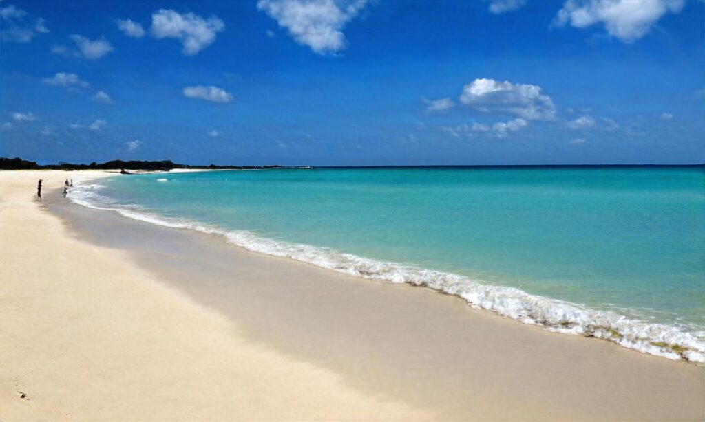 Plage centrale – Messanges accepte les chiens à Messanges