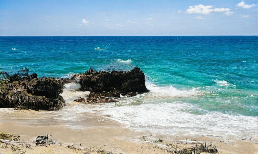 Plage centrale – Moliets-et-Maa accepte les chiens à Moliets-et-Maa