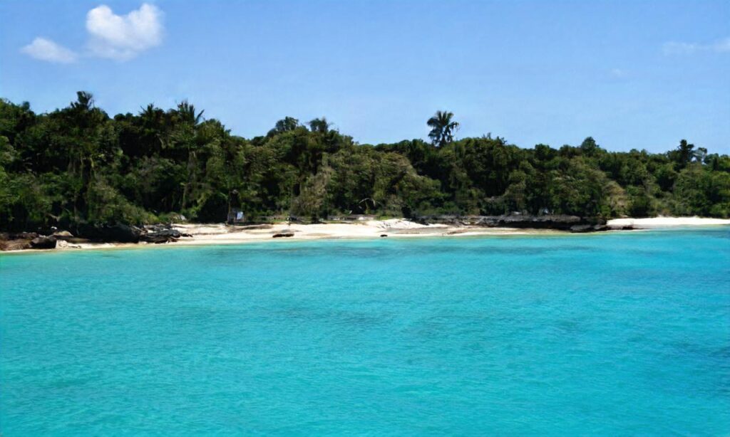 Plage de la Lanterne accepte les chiens à Nice