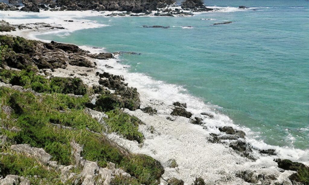 Plage Saint-Girons – Vielle-Saint-Girons accepte les chiens à Vielle-Saint-Girons