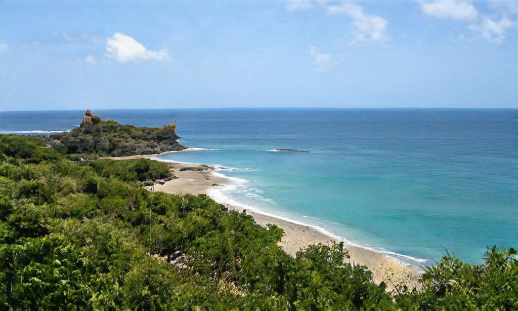 Plage du cap de l’Homy – Lit-et-Mixe accepte les chiens à Lit-et-Mixe