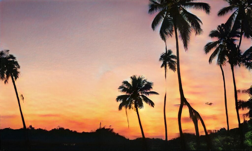 Plage des mouettes – Mimizan accepte les chiens à Mimizan