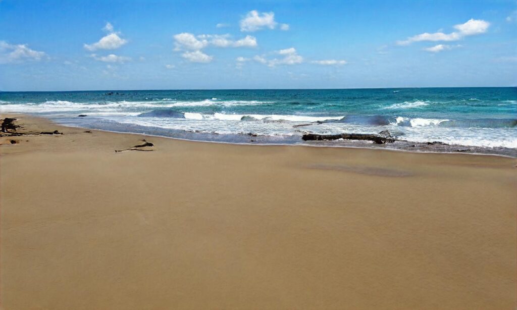 Plage Nord de la Corniche – Mimizan accepte les chiens à Mimizan