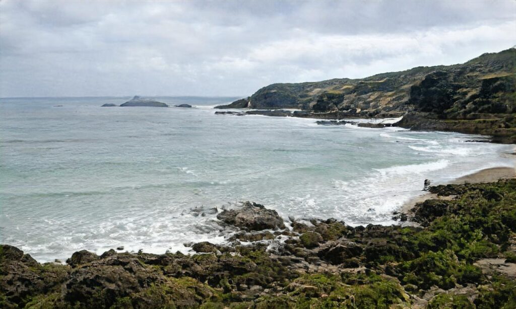 Plage Garluche – Mimizan accepte les chiens à Mimizan