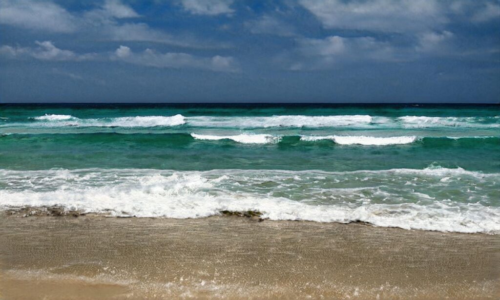 Plage des Ailes – Mimizan accepte les chiens à Mimizan