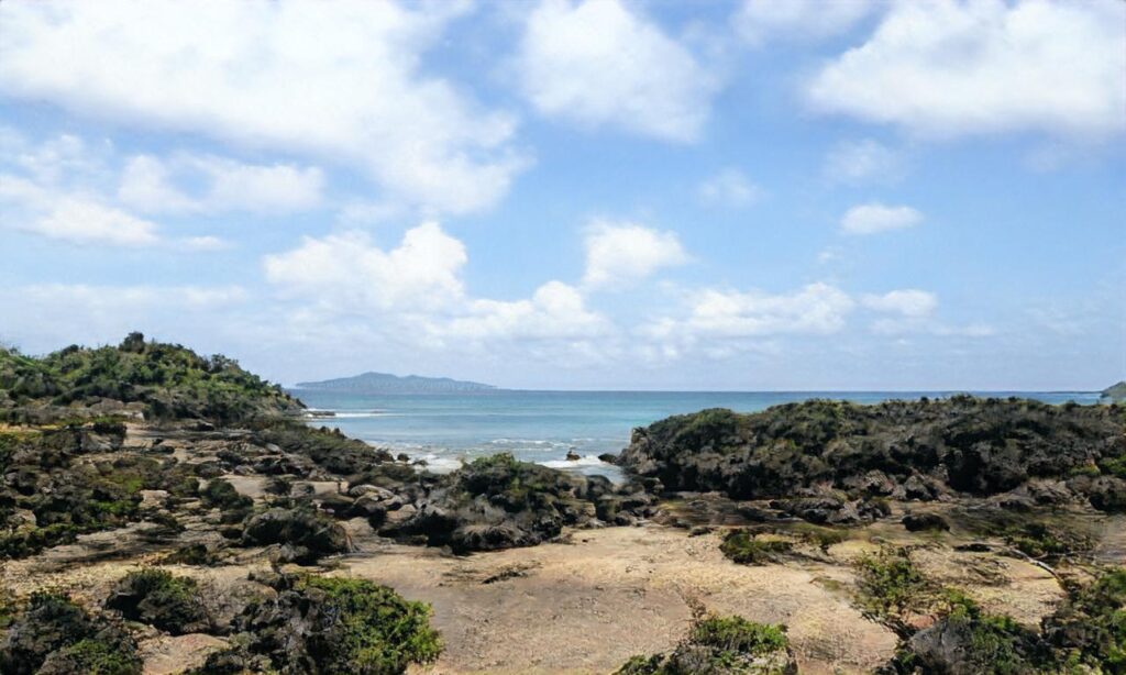 Plage Remember – Mimizan accepte les chiens à Mimizan