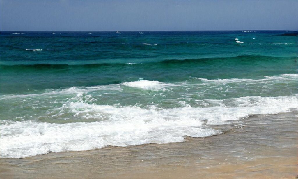 Plage des bouchots – La Tranche sur Mer accepte les chiens à La Tranche-sur-Mer