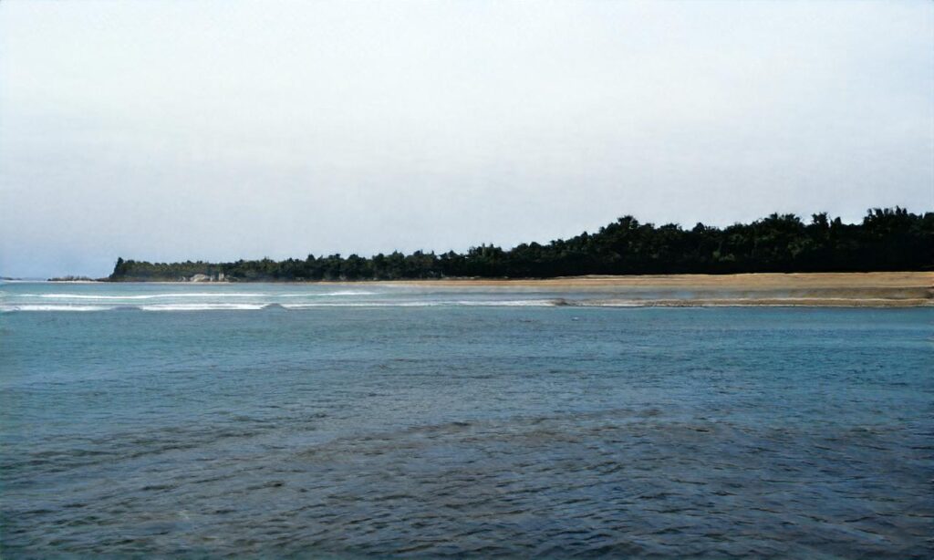 Plage Clémenceau – La Tranche sur Mer accepte les chiens à La Tranche-sur-Mer