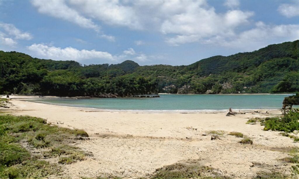 Plage du phare – La Tranche sur Mer accepte les chiens à La Tranche-sur-Mer