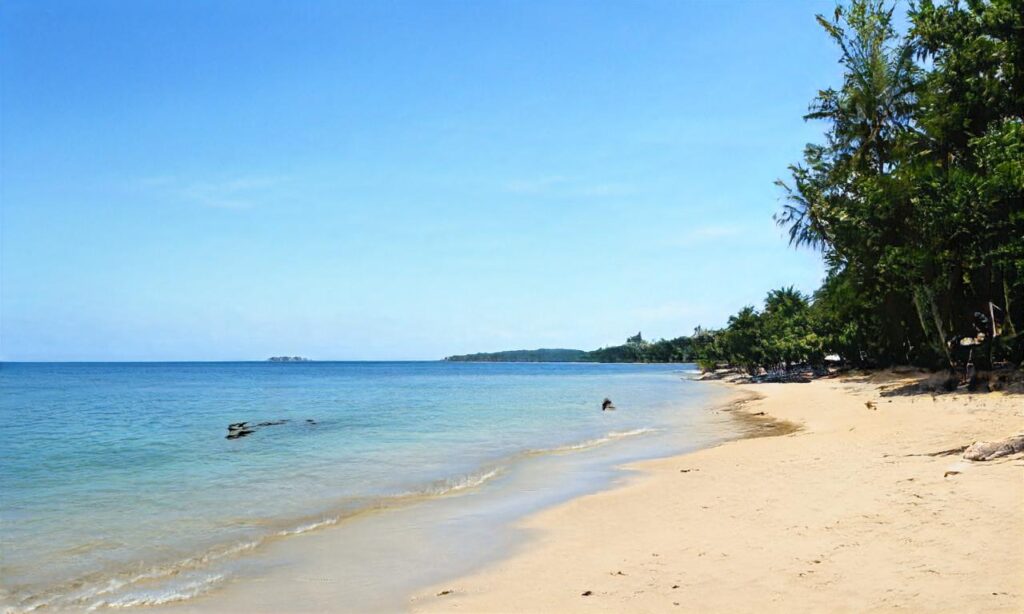 Plage du Corps des Gardes – La Tranche-sur-Mer accepte les chiens à La Tranche-sur-Mer
