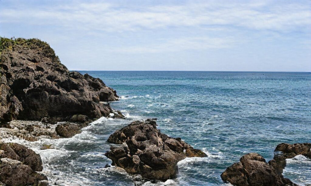 Crique de la Sauzaie – Brétignolles sur Mer accepte les chiens à Bretignolles-sur-Mer
