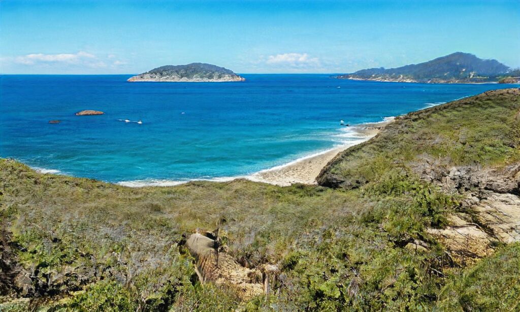 Plage du Petit Pont – Brétignolles sur Mer accepte les chiens à Bretignolles-sur-Mer