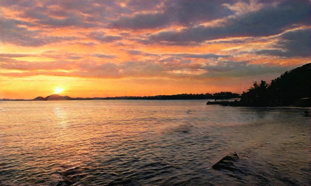 Plage de la Davière accepte les chiens à Saint-Jean-de-Monts