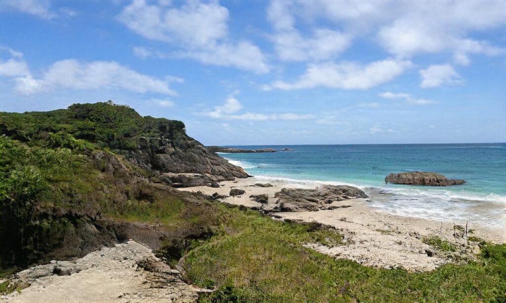 Plage de la tonelle – Saint Jean de Monts accepte les chiens à Saint-Jean-de-Monts