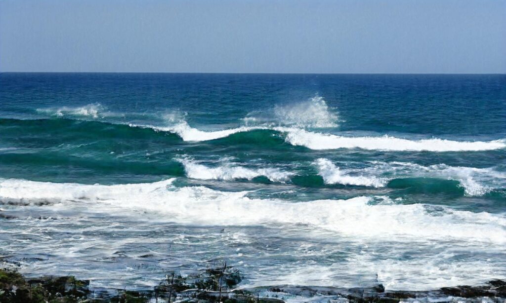 Plage Petit Sochard – Saint Jean de Monts accepte les chiens à Saint-Jean-de-Monts