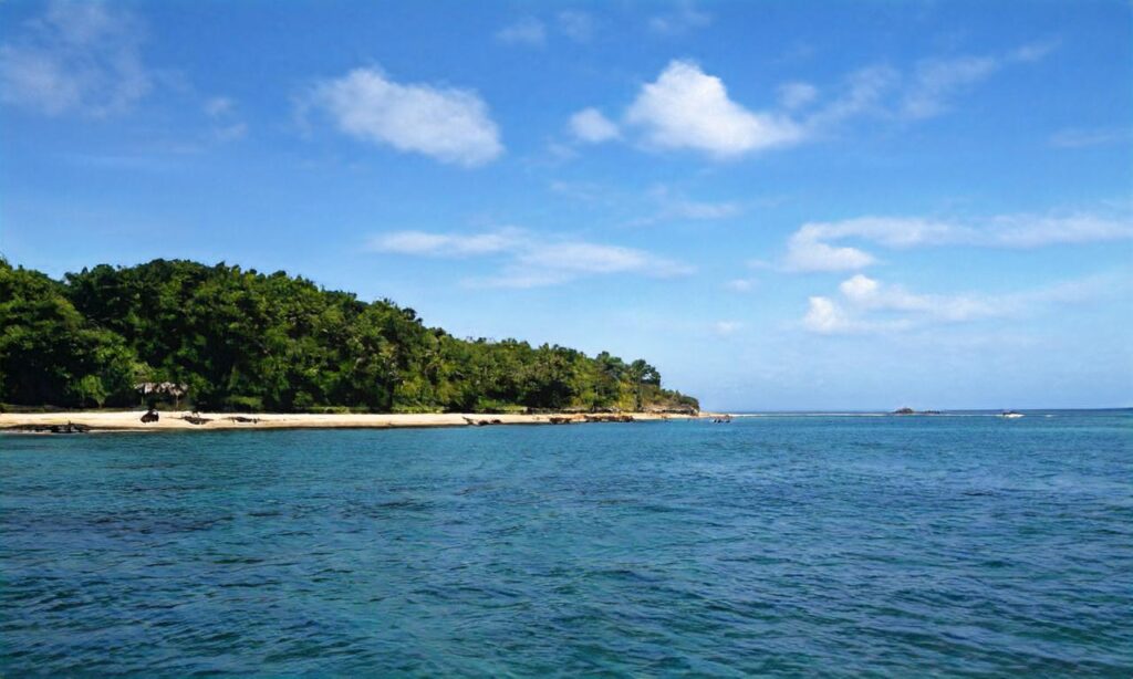 Plage le Mane Guen – Plouharnel accepte les chiens à Plouharnel