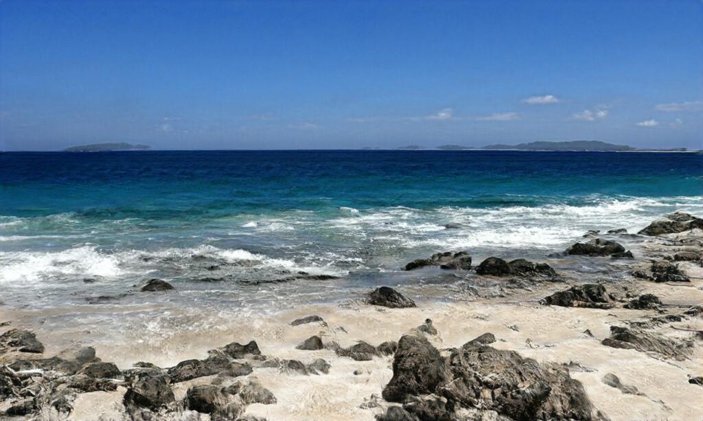 Plage Ty Hoche – Plouharnel accepte les chiens à Plouharnel