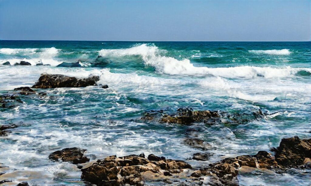 Plage de la Belle Henriette accepte les chiens à La Tranche-sur-Mer
