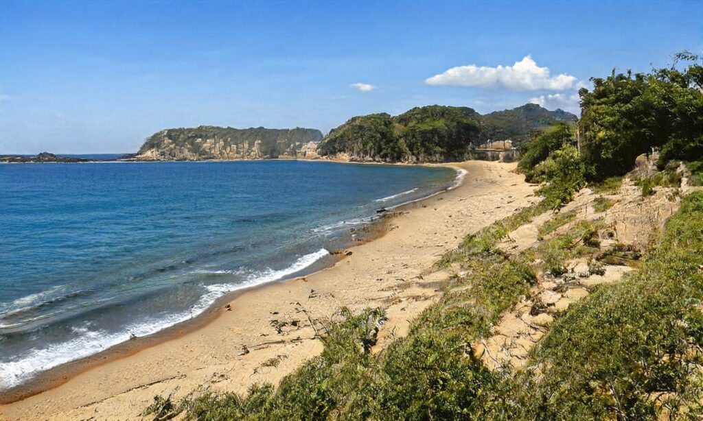 Omaha Beach – Vierville-sur-Mer accepte les chiens à Vierville-sur-Mer