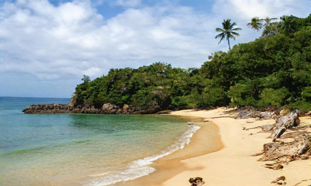Plage des falaises – Longues-sur-Mer accepte les chiens à Longues-sur-Mer