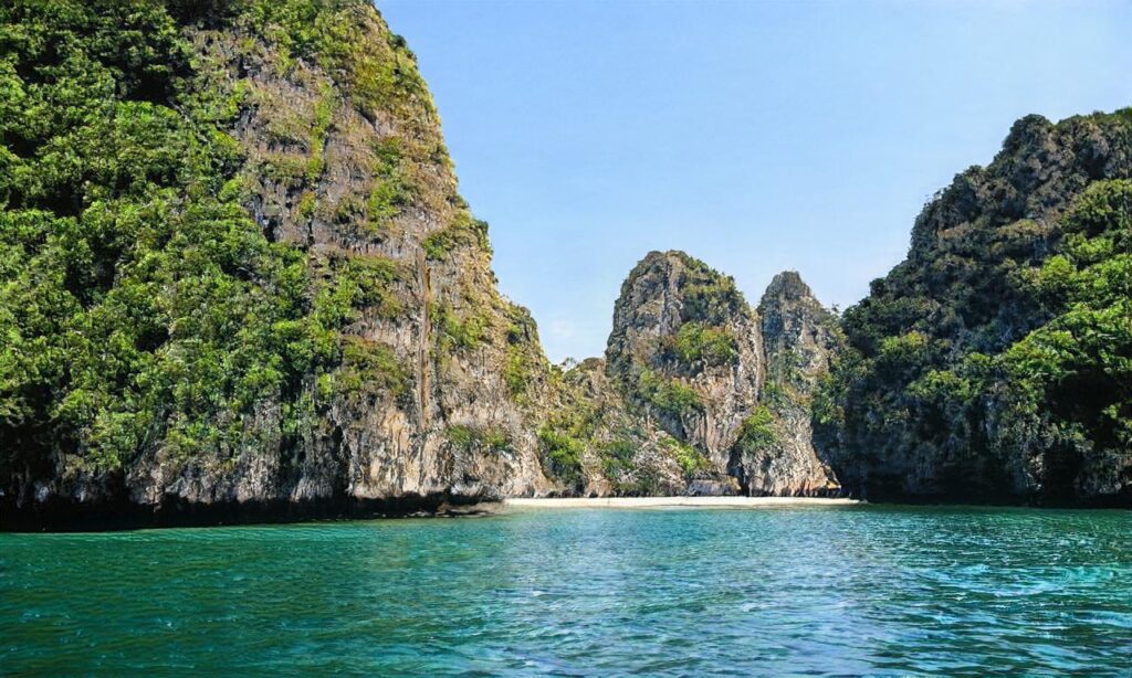 Plage qui accepte les chiens