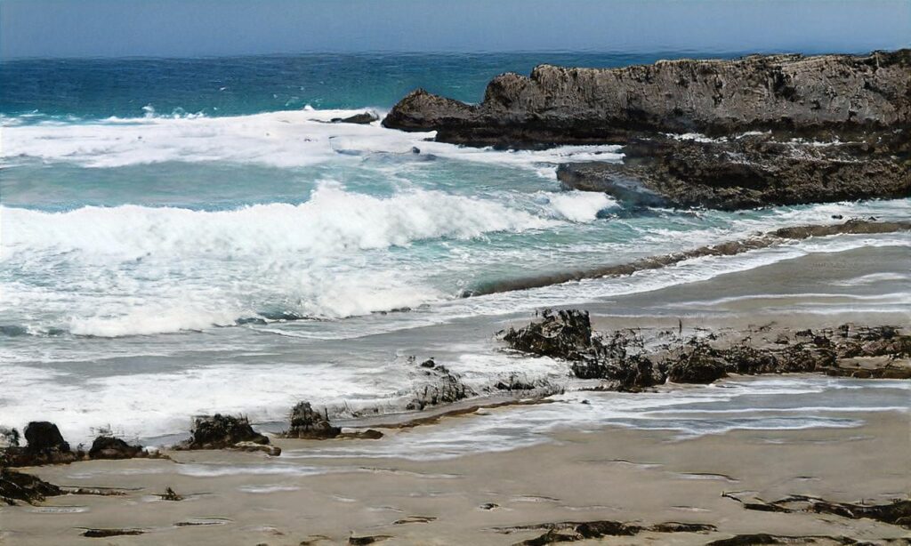 Plage Est – Saint Côme de Fresné accepte les chiens à Saint-Côme-de-Fresné