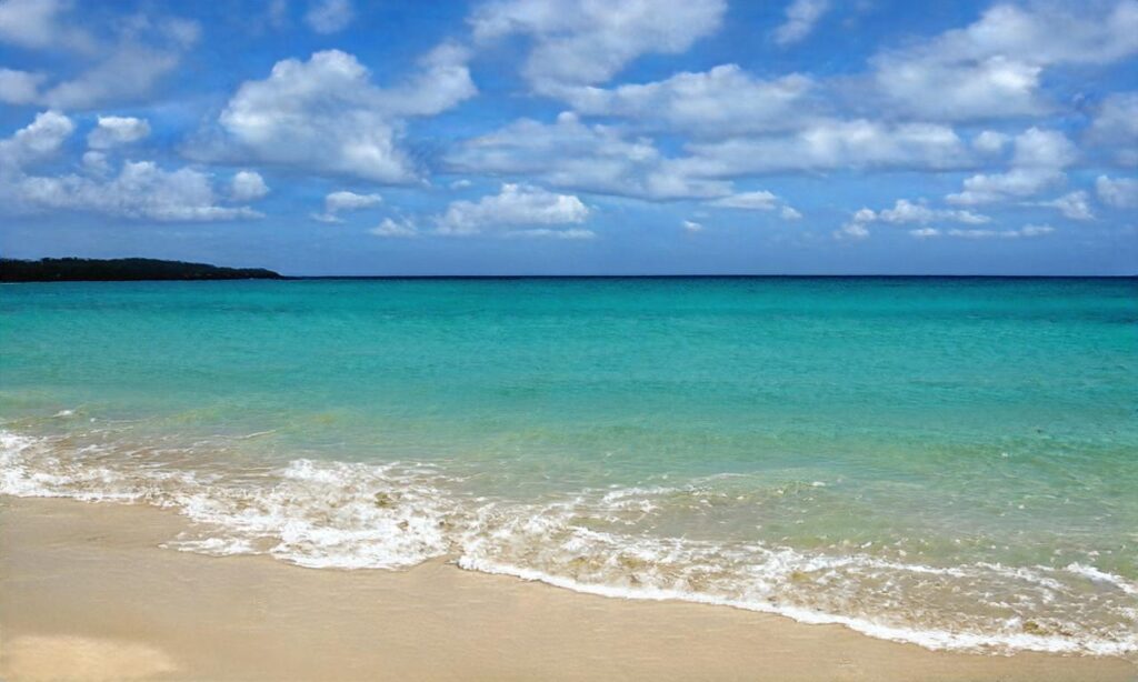 Plage du Vicq accepte les chiens à Vicq-sur-Mer