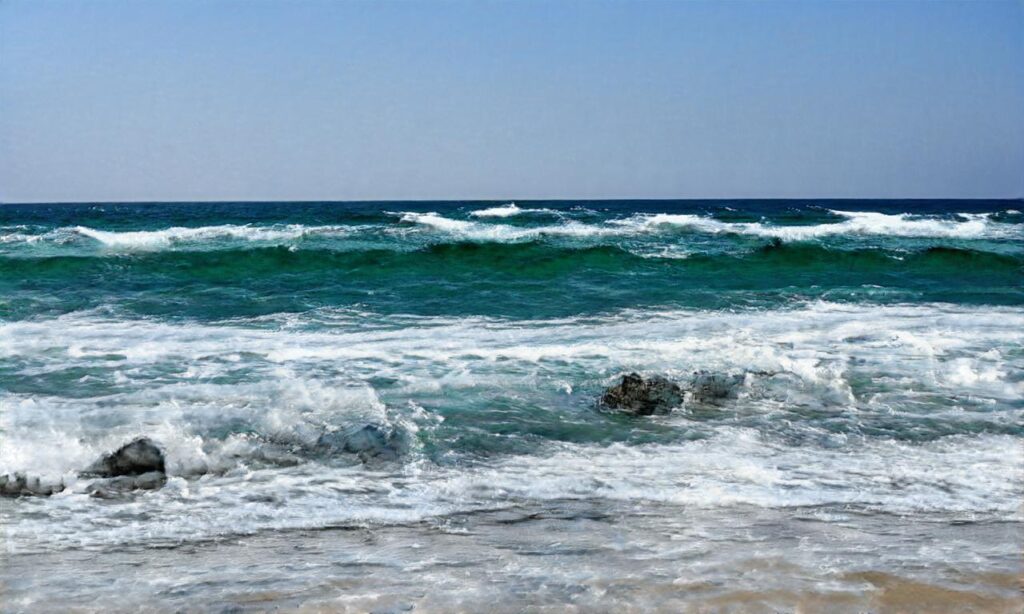 Lac des Bruyère accepte les chiens à Millières