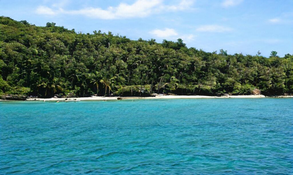Plage de Bernières-sur-mer accepte les chiens à Bernières-sur-Mer