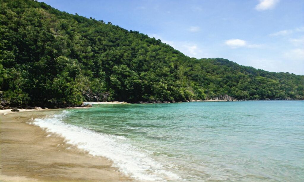 Plage de l’océan – La Tranche sur Mer accepte les chiens à La Tranche-sur-Mer