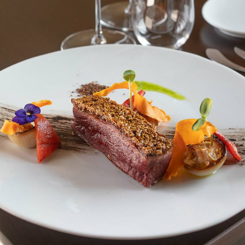 Chateau de Chambert - Holodeck accepte les chiens à Floressas