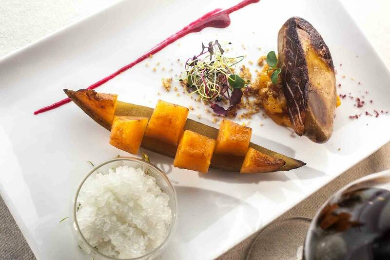 Château de Haute-Serre accepte les chiens à Cieurac