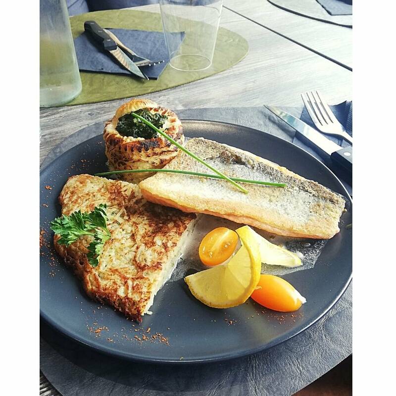 L'en K accepte les chiens à Chambéry