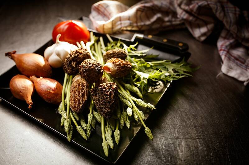 Restaurant La Dulcine Reynès France accepte les chiens à Reynès