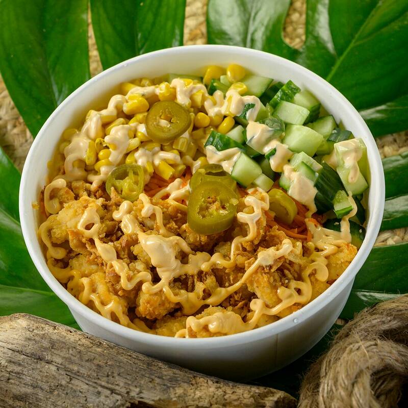 Koholã Strasbourg accepte les chiens à Strasbourg