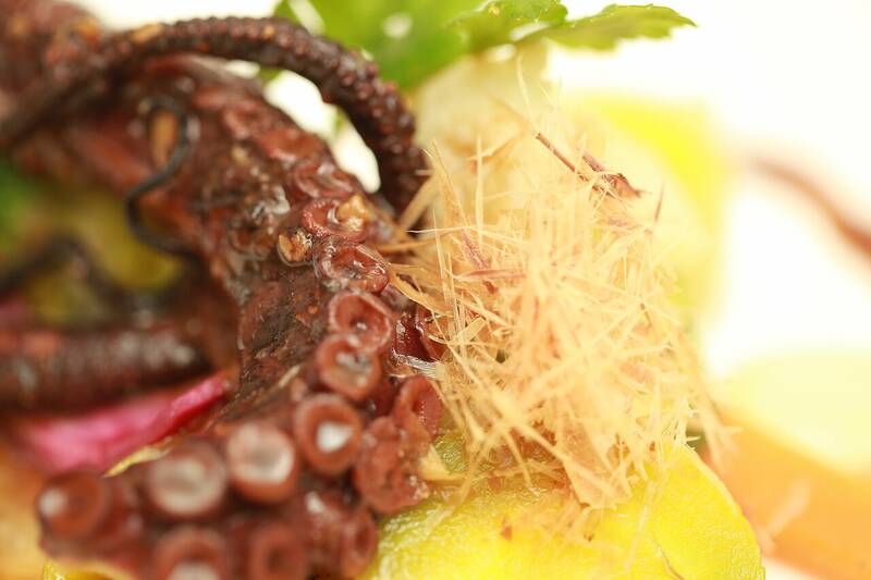 Le Pastel accepte les chiens à Toulon