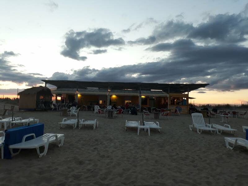Praia accepte les chiens à Sète