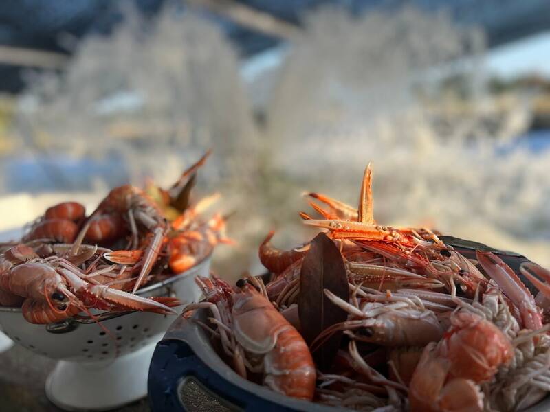 La Guinguette De Thierry accepte les chiens à Angoulins