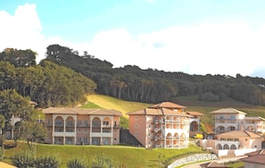 Hotel acceptant les chiens