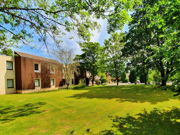 Hôtel Restaurant Bonanite accepte les chiens à Villers-Cotterets