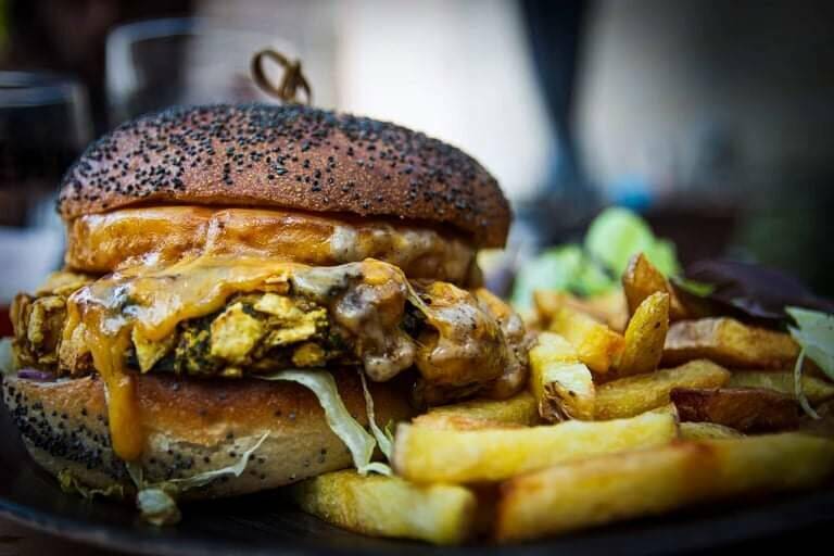 Mad Cats accepte les chiens à Évreux