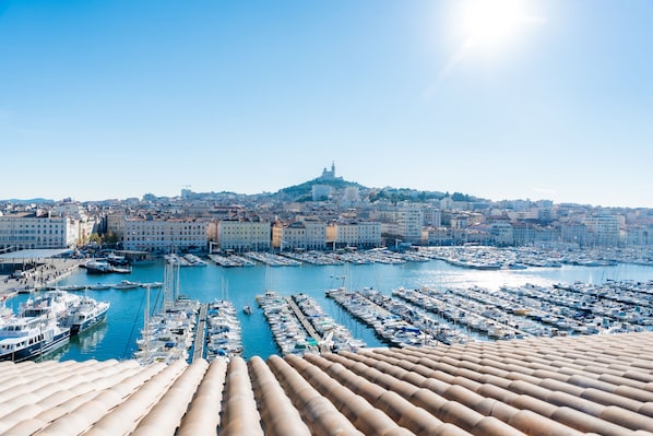 Hôtel la Résidence du Vieux Port accepte les chiens à Marseille