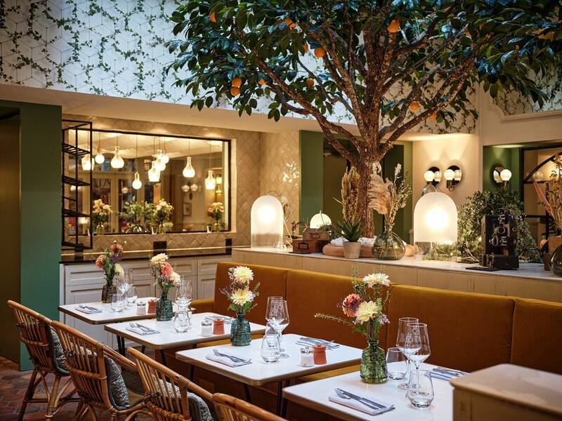 Arbore Restaurant accepte les chiens à Paris