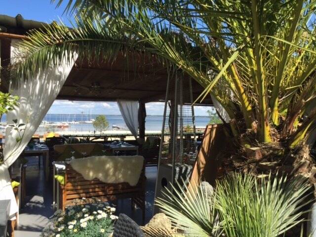 Histoires De Restaurant Bar Cocktails accepte les chiens à Biscarrosse