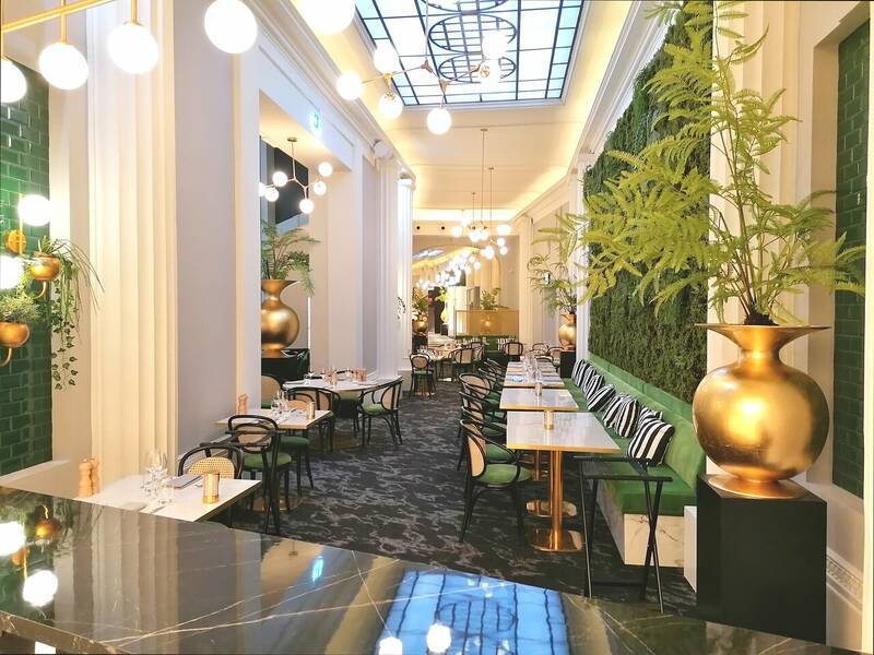 Restaurant Le R accepte les chiens à Royat