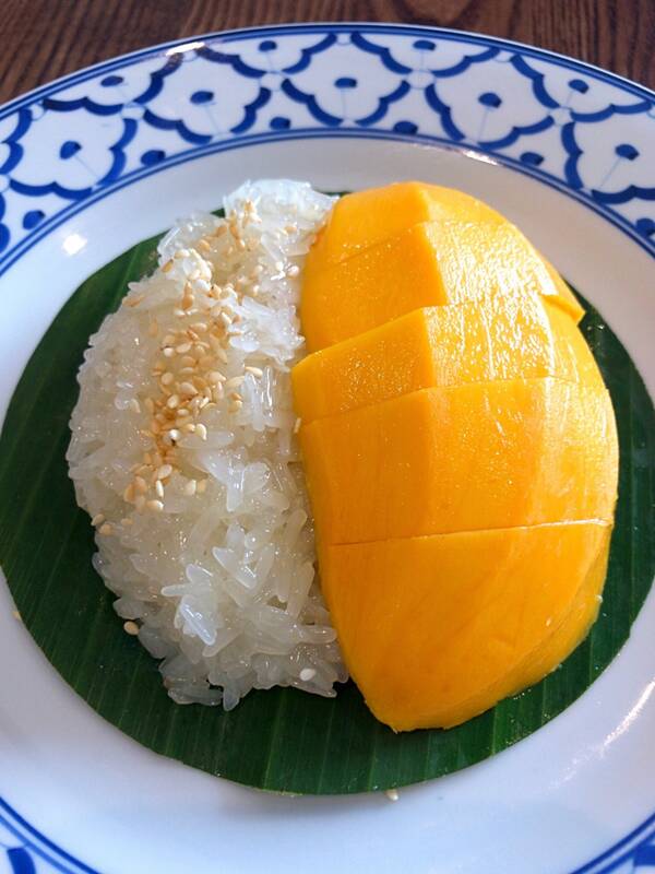 Restaurante Thai Le Siam accepte les chiens à Foix