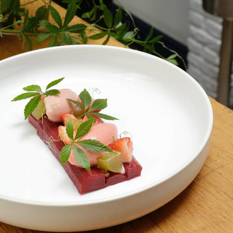 Club Marot accepte les chiens à Lille