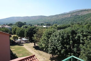 Hotel acceptant les chiens