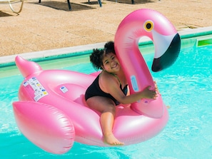 Hotel acceptant les chiens