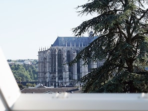 Hotel acceptant les chiens